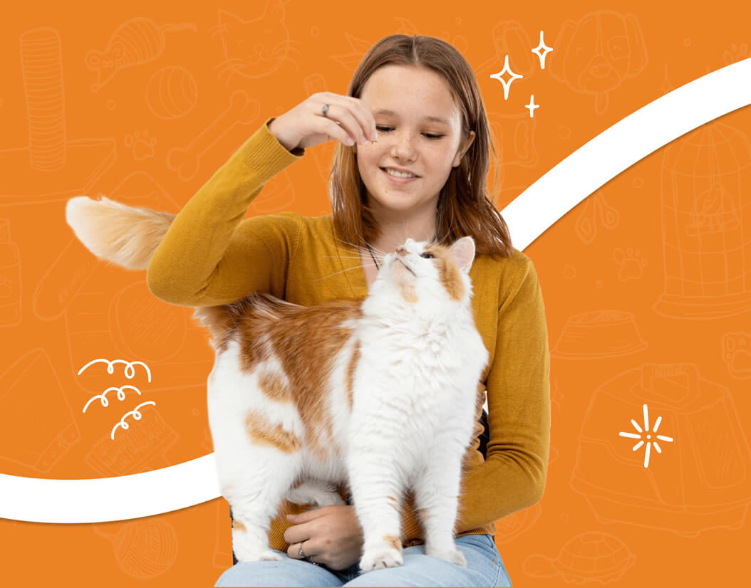 Our Mission - Blazy Cart