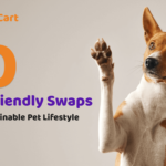 10 Eco-Friendly Swaps for a Sustainable Pet Lifestyle