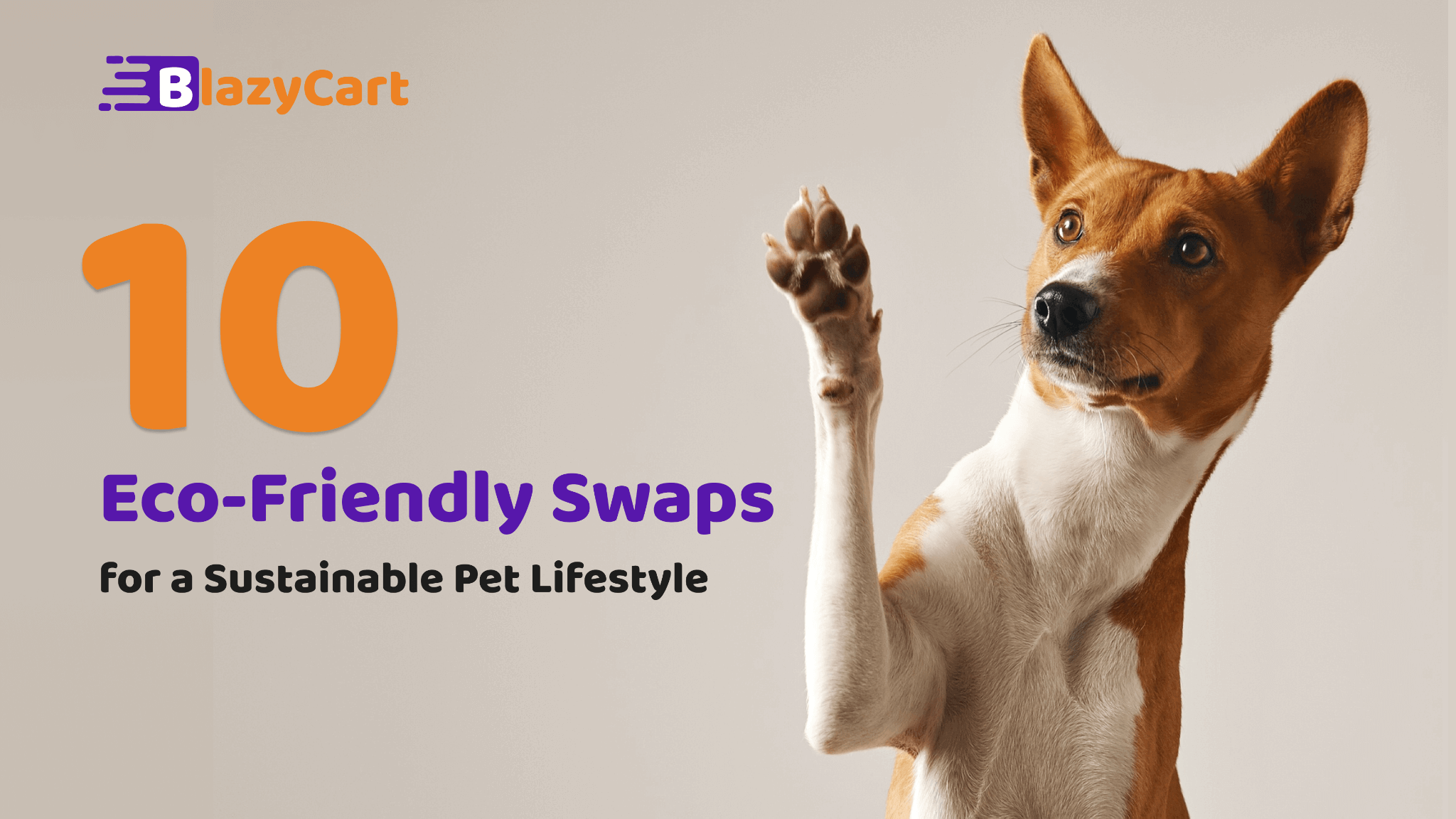 10 Eco-Friendly Swaps for a Sustainable Pet Lifestyle