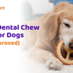 How to Make Bath Time Easier with the Right Grooming Tools